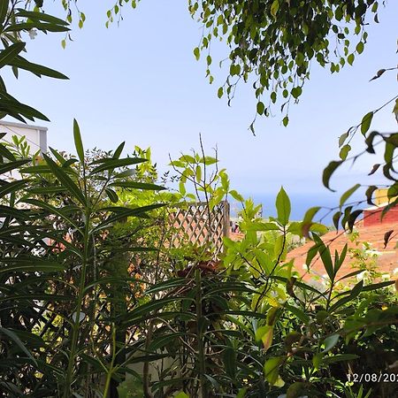 Casa Flora Garden Studio Sauzal Exterior photo