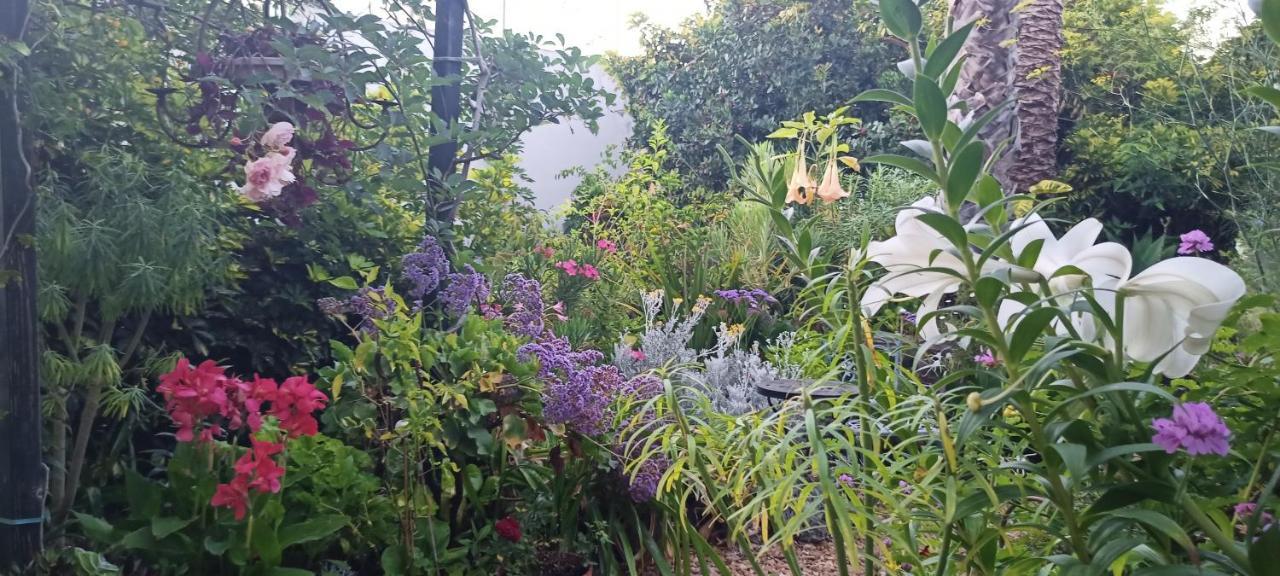 Casa Flora Garden Studio Sauzal Exterior photo