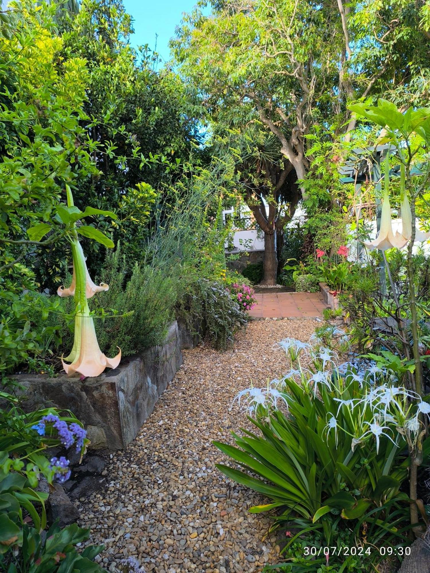 Casa Flora Garden Studio Sauzal Exterior photo