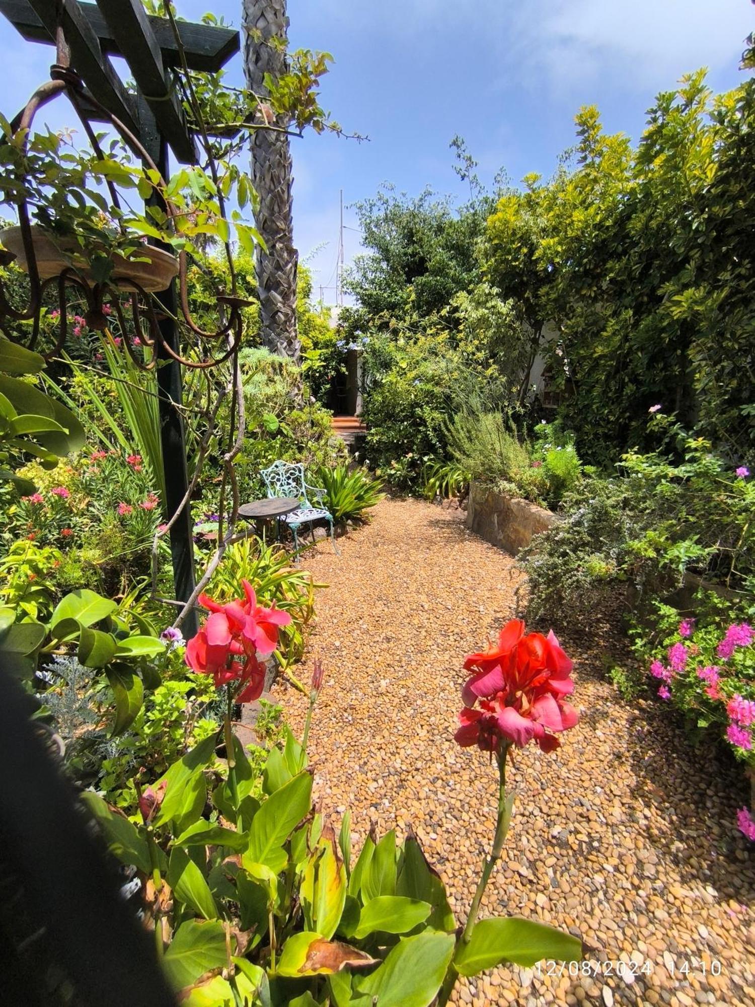 Casa Flora Garden Studio Sauzal Exterior photo