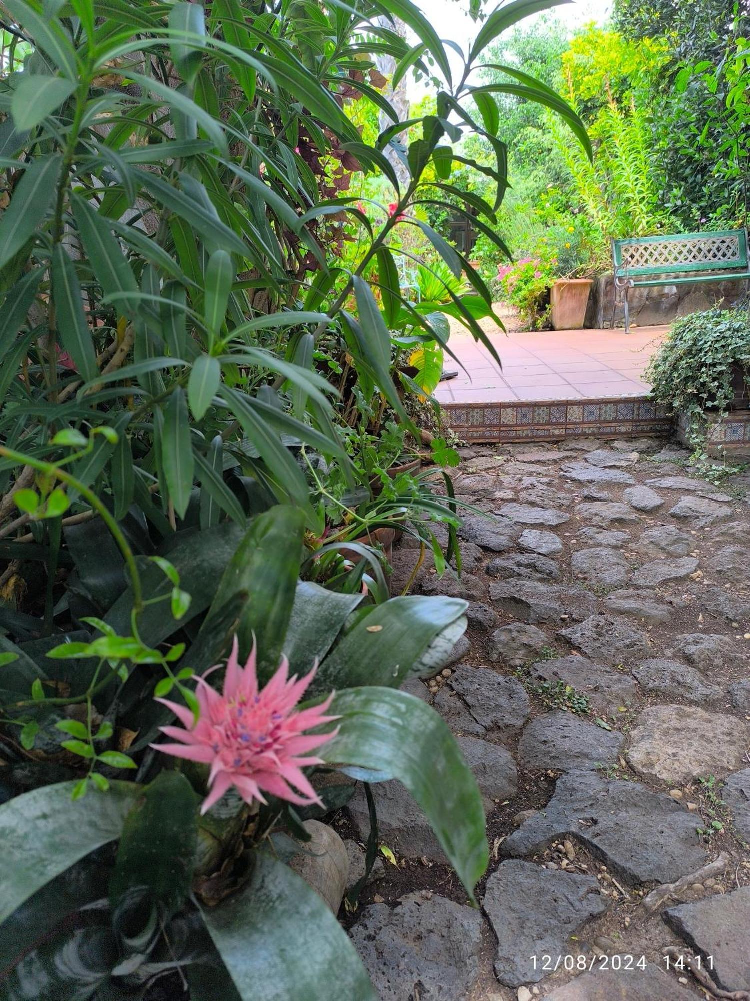 Casa Flora Garden Studio Sauzal Exterior photo